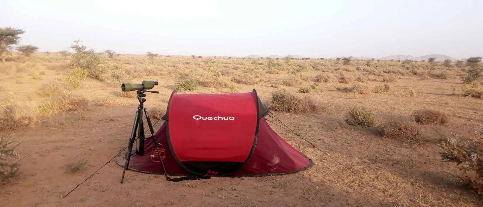Spotting scope set up at first light on a birding tour in the Moroccan desert